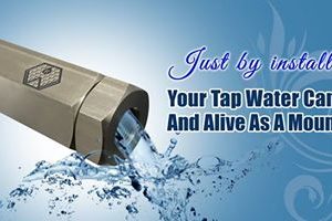 SG-1L Hydrogen Water Activator System
