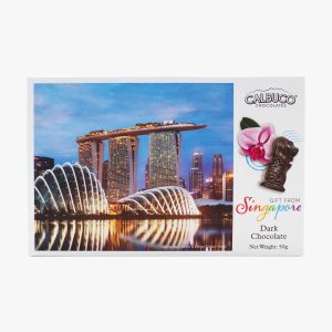 MERLION CHOCOLATE MBS