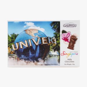 MERLION CHOCOLATE UNIVERS